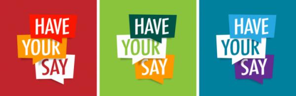 have a say