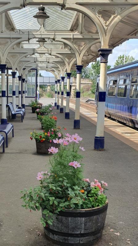trains trains