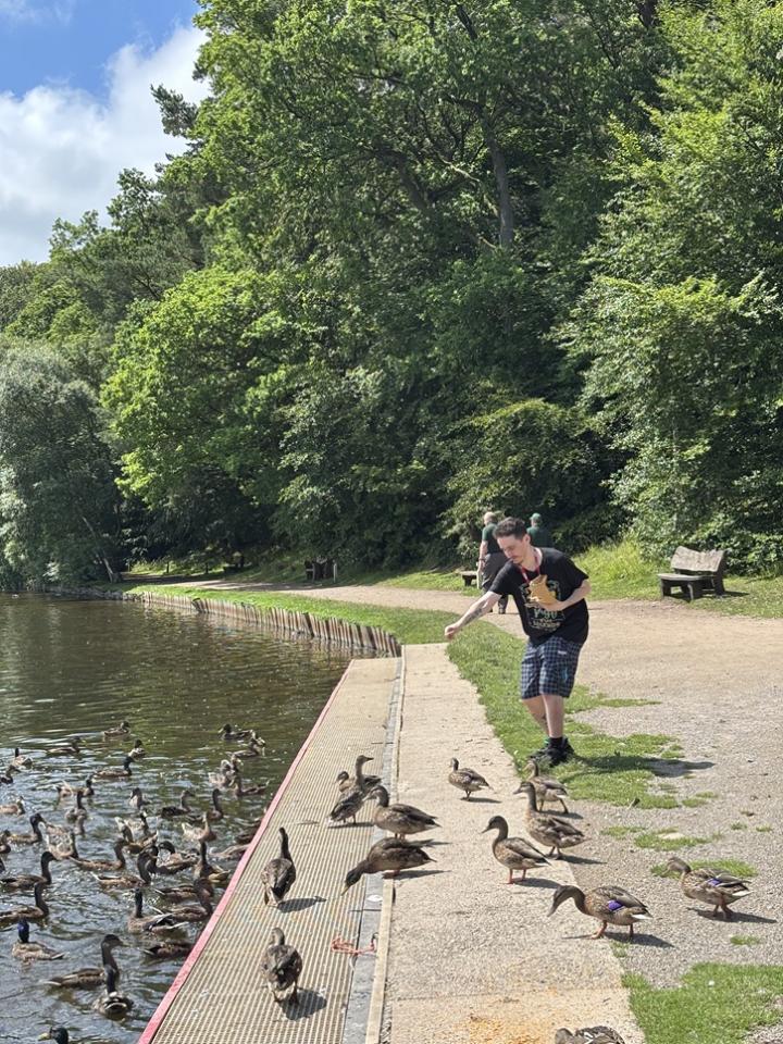 ck feeding ducks ck feeding ducks